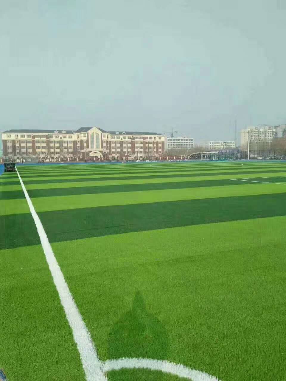 佳木斯市健身步道仿真草坪 - 一站式服务